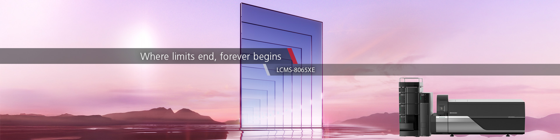LCMS-8065XE