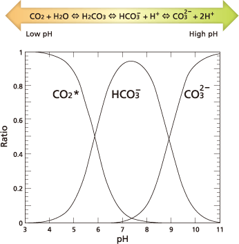 Measuring IC