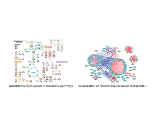 Multi-omics Analysis Package