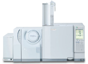 Pyrolysis-GC-MS